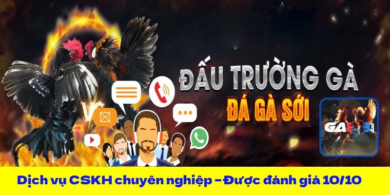 Dịch vụ CSKH chuyên nghiệp – Được đánh giá 10/10