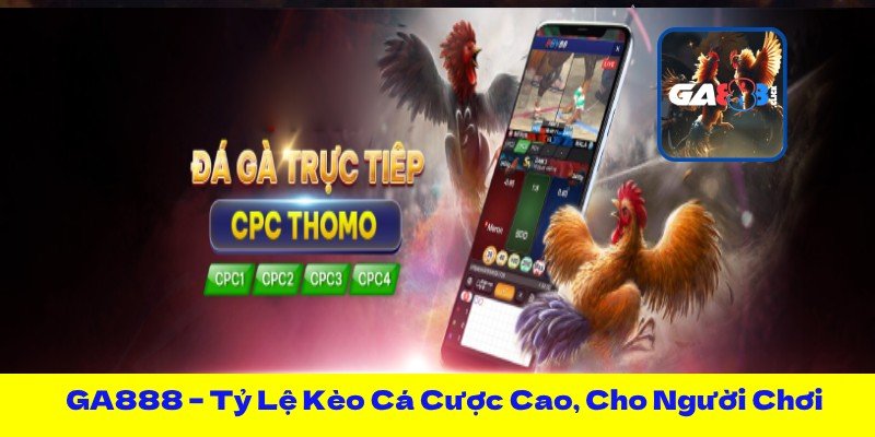 GA888 – Tỷ Lệ Kèo Cá Cược Cao, Cho Người Chơi