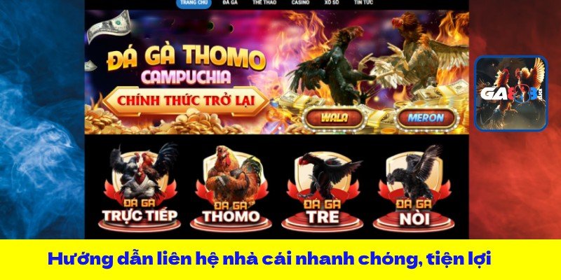 Hướng dẫn liên hệ nhà cái nhanh chóng, tiện lợi