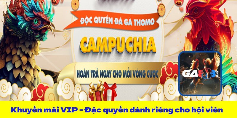 Khuyến mãi VIP – Đặc quyền dành riêng cho hội viên