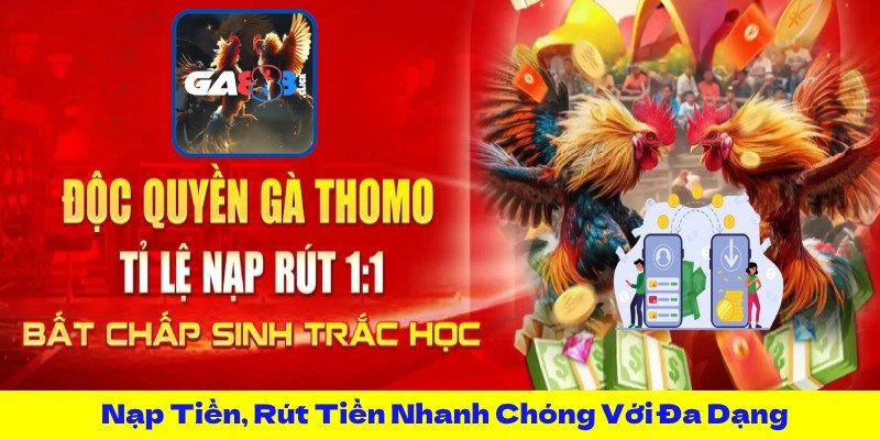 Nạp Tiền, Rút Tiền Nhanh Chóng Với Đa Dạng Phương Thức