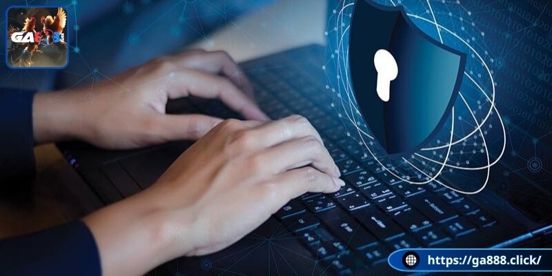 Biện pháp đảm bảo cho chính sách riêng tư