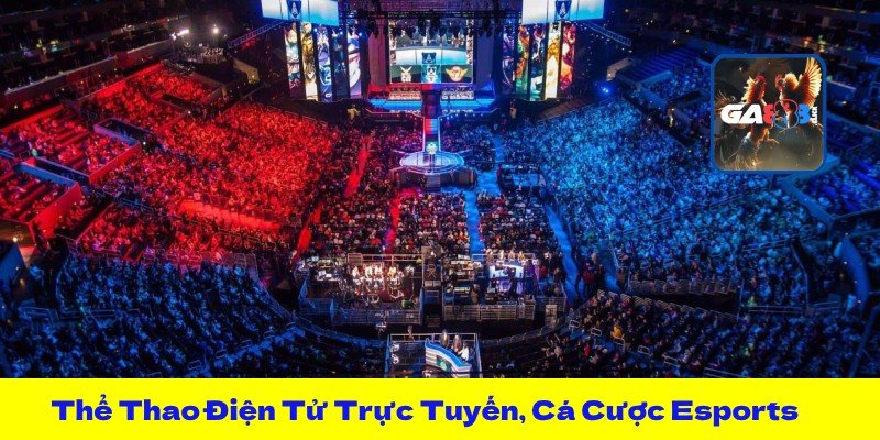 Thể Thao Điện Tử Trực Tuyến, Cá Cược Esports Đỉnh Cao