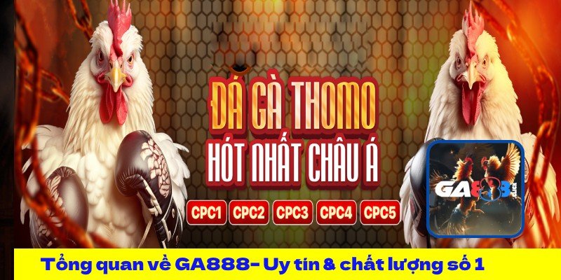 GA888 – Trang Chủ Đá Gà Trực Tuyến Uy Tín Số 1