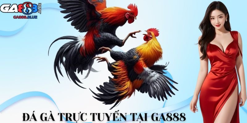 Đá gà trực tuyến tại GA888