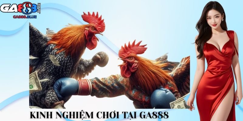 Kinh nghiệm chơi tại GA888